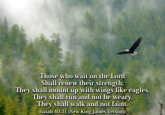 Isaiah 40:31