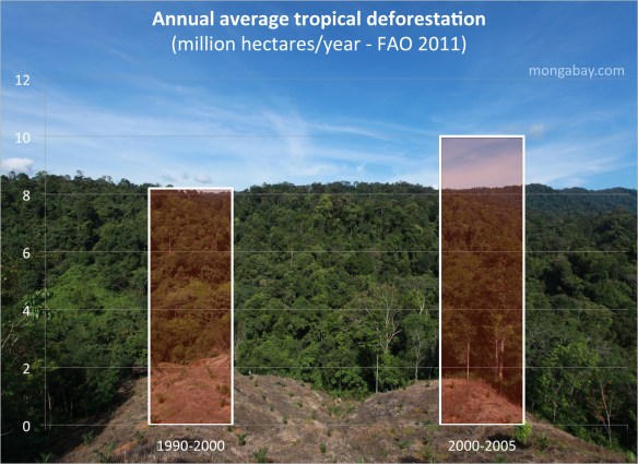 Each year global deforestation is increasing. Photo: mongabay.com
