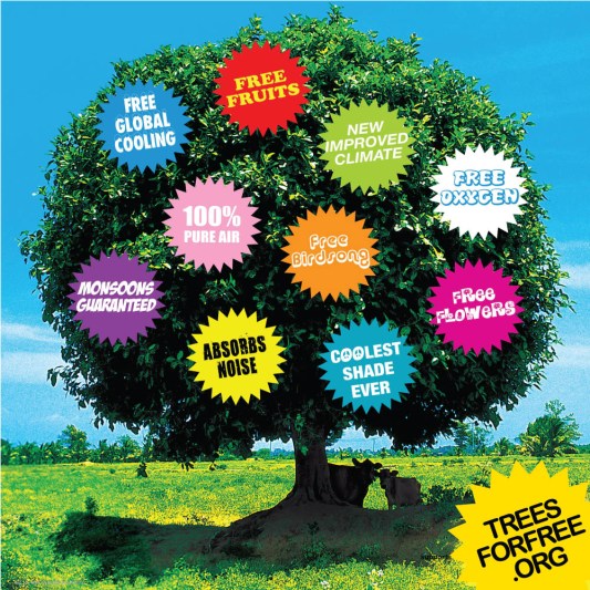 Why plant trees. Photo: treesforfree.org