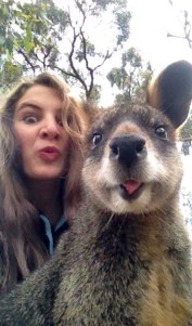 10385564_10152997930624973_8768174594184165595_n