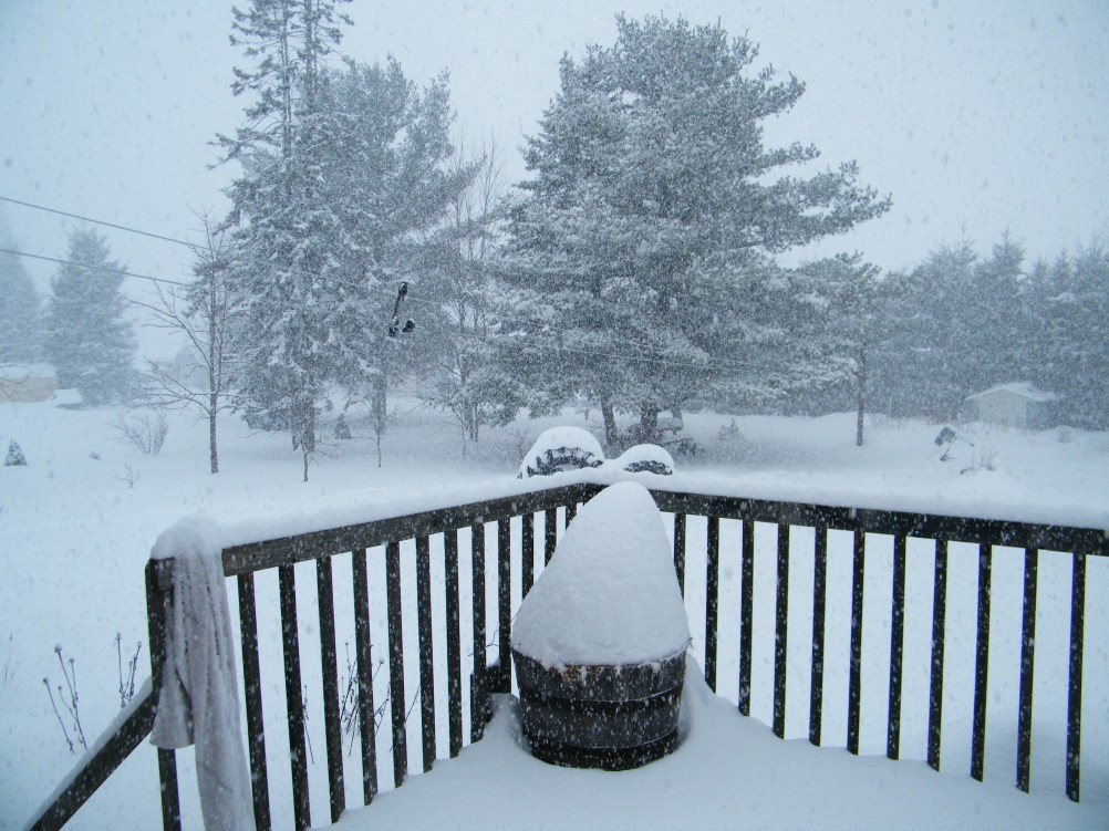 Somewhere out there is my garden.