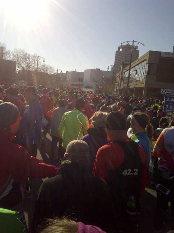 The starting corral of the 121st Around the Bay Road Race