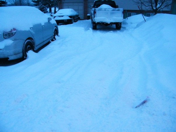 While some fellow bloggers were having tulips and green grass, out snowbanks were getting higher.