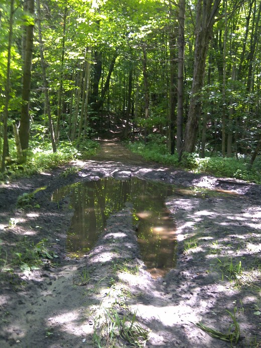 One more picture of yesterday's trail run! :)