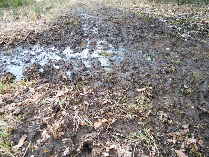 Some of the mud we encountered. You just cannot have a trail race without mud! :)