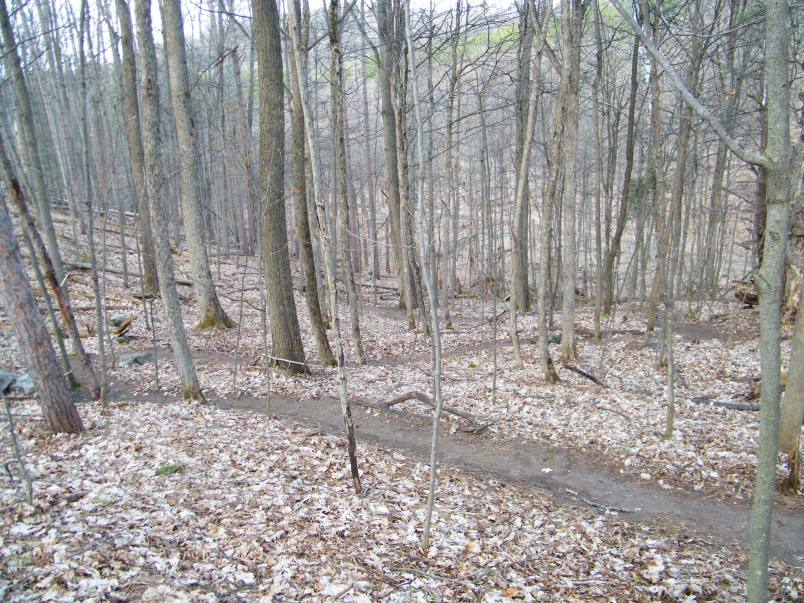 Letting loose, the downhill switchbacks were very fast! :)