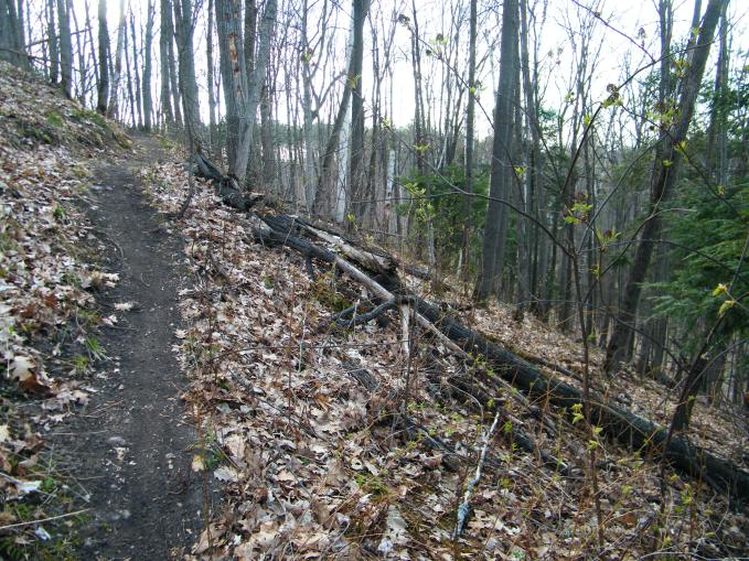 No more hills to encounter if my race day is finished.