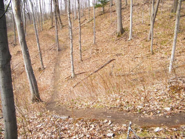 There was the big hills, and then there were the other hills which Caron would accurately describe as "roller coaster hills"