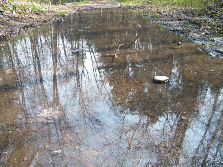 Water obstacle shortly into the race