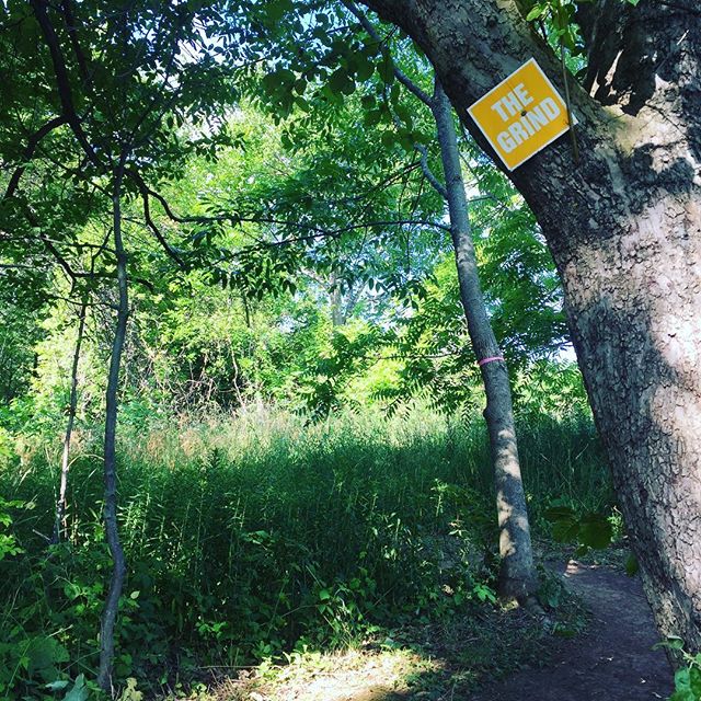 Photo Credit Twitter feed of The North Face Endurance Challenge 