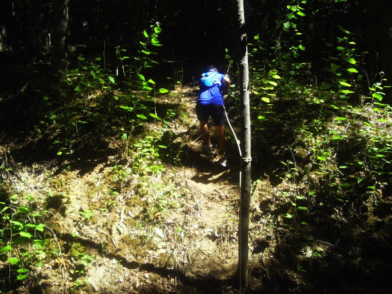 This is not Jess, but a runner ahead of me on the 1st loop of me pulling himself up out of the gulley. Still grappling to figure out how Jess did this. did this.