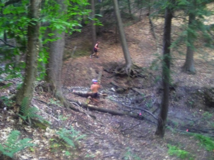 My apologies for the blur. Was rushing to take this before the runners were out of sight. 