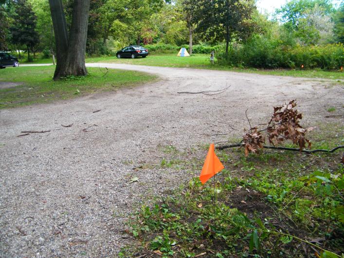 My tent set up very close to the race course marked by the red flags