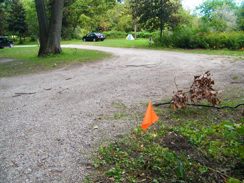 My tent set up very close to the race course marked by the red flags