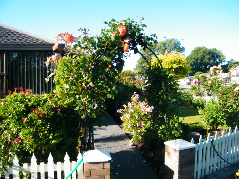 It did my heart good to see my daughter's neighborhood. Many neighbors have spectacular gardens.