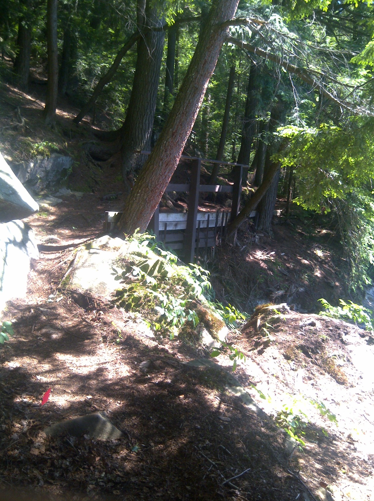 Celebrating My 60th Birthday by Running the 56k Limberlost&nbsp;Challenge