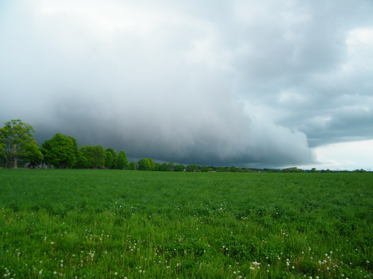 A Photo a Day During the Month of&nbsp;May