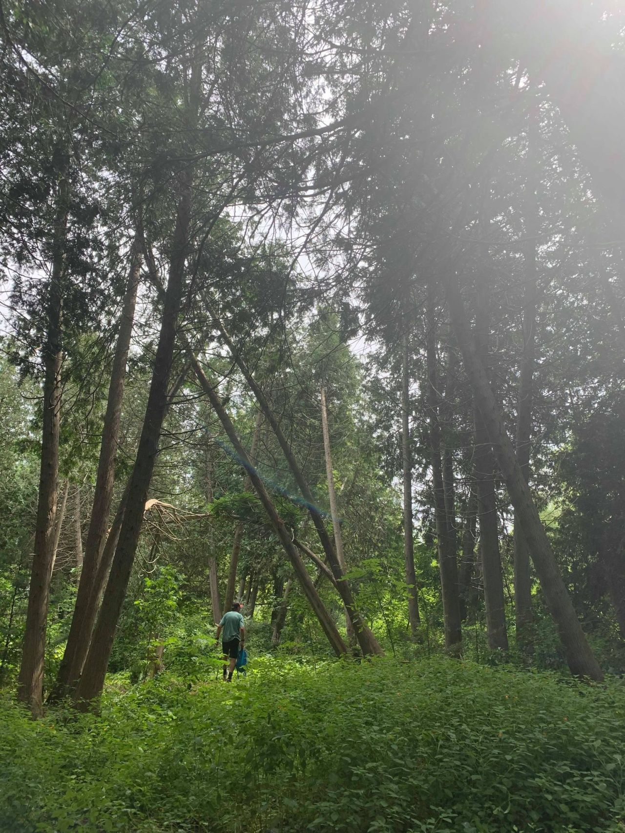 Reflections on a 3224 Kilometer Journey. My #GVRAT1000k Triple&nbsp;Crossing.