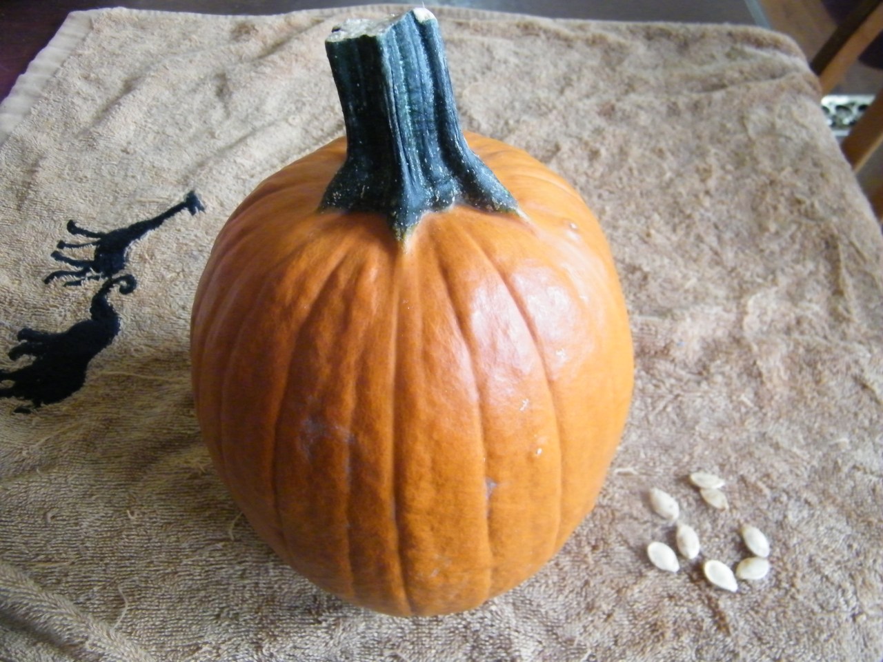 Lessons from a Pie&nbsp;Pumpkin